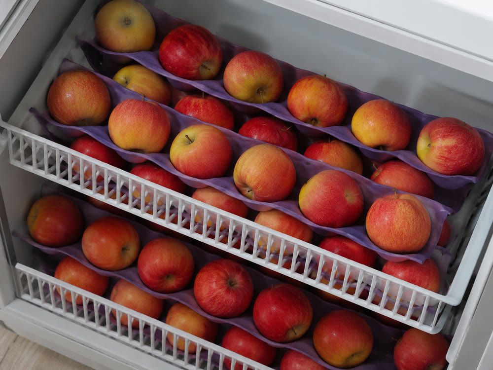 Fresh apples